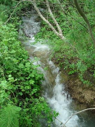 photos/Ruisseau.jpg