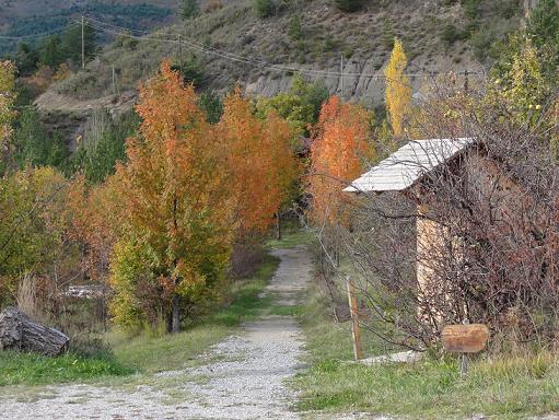 photos/automne.jpg