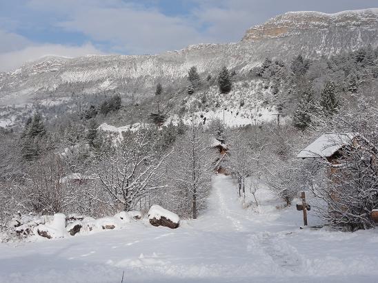 photos/hiver.jpg